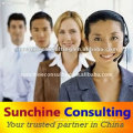 sunchine consulting service